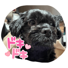 hana_20221223173113