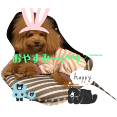 hana_20221223175438
