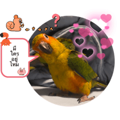 mamasang_20221223142211