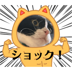 Aoi_20221224074416