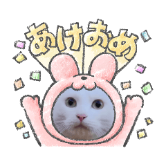hana_20221224082045