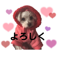 omochi_20221223222049