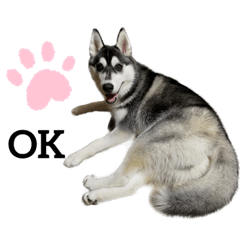 Hanamama_20221223223928