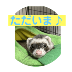 yukari_20221224024724