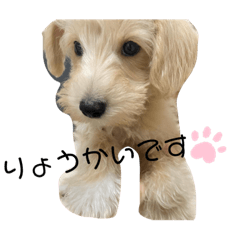 suzu_20221223200528
