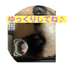 yukari_20221224031310