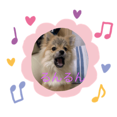 ルル若林