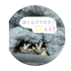 suzu_20221223230113