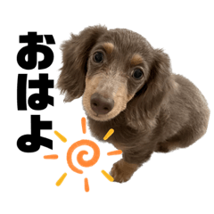 hikari_20221224113148