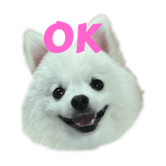 mimimomo20221224134648