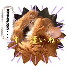 alice_20221224152351