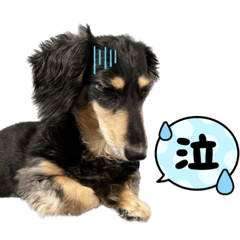 Rain_20221224213741