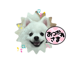 mimimomo_20221224224744