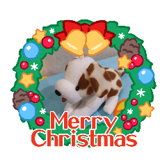 Cream_20221224234105