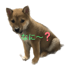 saori_20221224210152