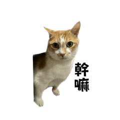 臭匠