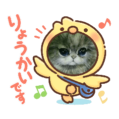 misao_20221225023257