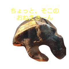 kichikichifarm_20221225123354