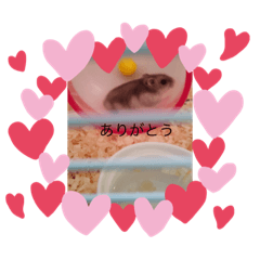 KONATSU_20221225110650