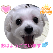 meryl_20221225140805