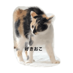 natsumi_20221225011337