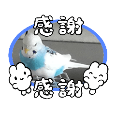 shin_20221225090316