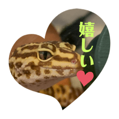 tori_20221225150753