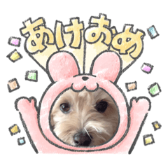 Yukari_20221225111351