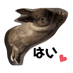 kosaki & maomao_20221225112133