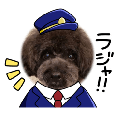 misa_20221225171403