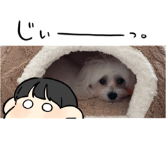 Nozomi_20221225171334