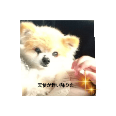 d@wtda