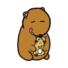 台灣棕熊&狸貓喵 - 觀察記錄3
