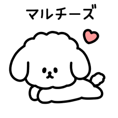 MARU CHEESE(animation)