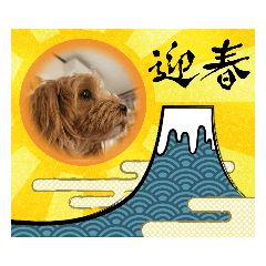 asikubiguneo_20221225194611