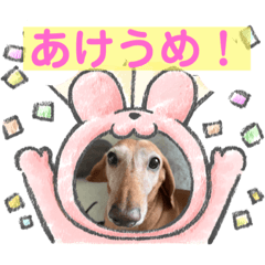 kandahal_20221225193014