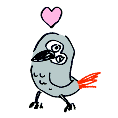 Ro-chan the Grey Parrot