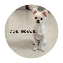 mizuki_20221225213637