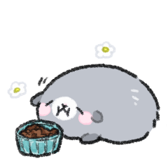 guinea pig konbu 2 (resale)