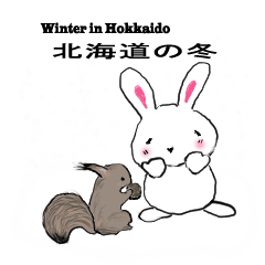 Rabbit sense winter