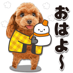 【修正版】かわいい犬たち♡敬語冬プードル