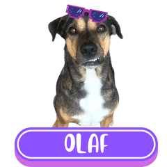 WOOFME WITH OLAF