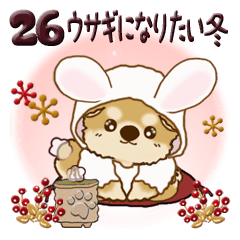 ちゃちゃ丸 26『ウサギになりたい冬』