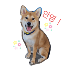 natsumi_20221224222202