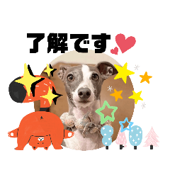 icchan_20221227083309