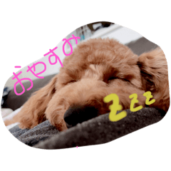 yuka_20221226181754