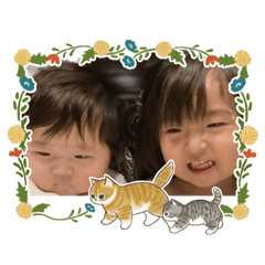 pandarinn_20221226180948