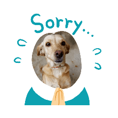 lingnoy_20221226171133