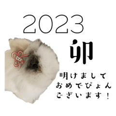 gyozaoishiine_20221227043247