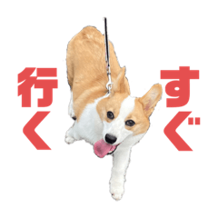 hinanoko_20221226191448